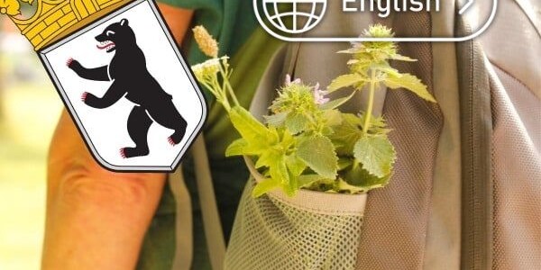wild herbs course berlin