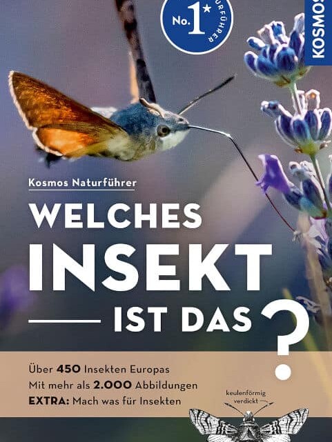 Insektenbuch