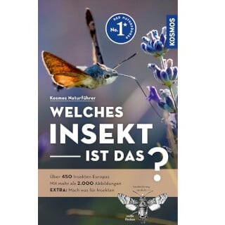 Insektenbuch