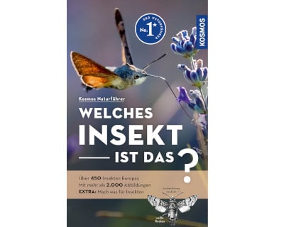 Insektenbuch