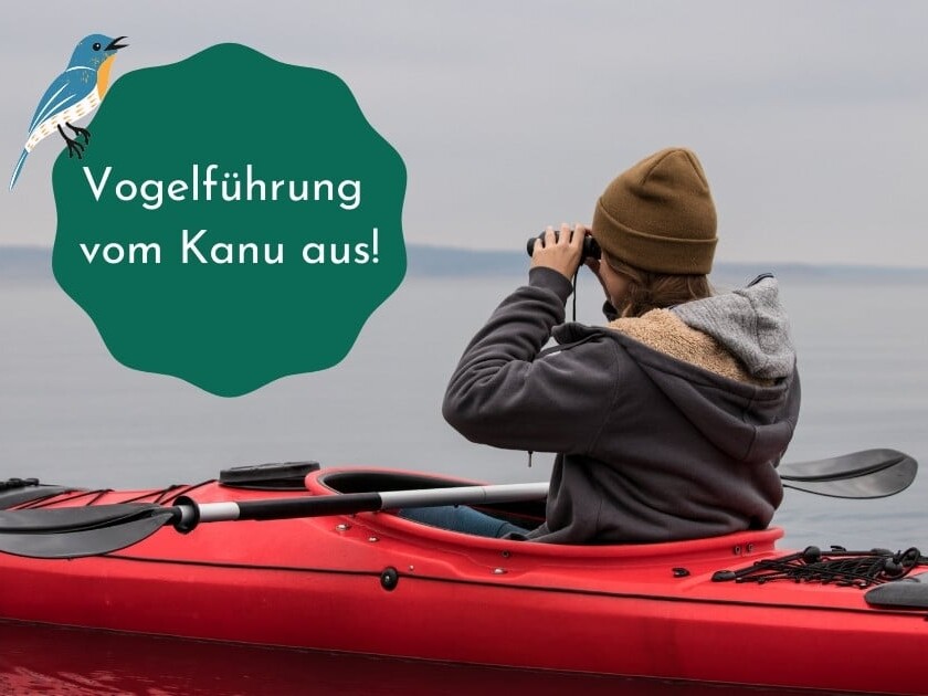 Vogelexkursion Berlin