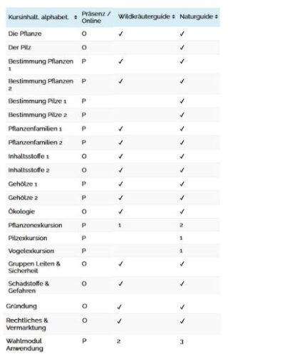 Bildungsurlaub Natur 2025 - Zertifikatlehrgänge Wildkräuter, Pilze