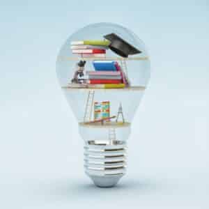 Bildungsurlaub Natur 2025 - Zertifikatlehrgänge Wildkräuter, Pilze