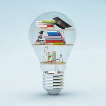  Bildungsurlaub Natur 2025 - Zertifikatlehrgänge Wildkräuter, Pilze Illustration 