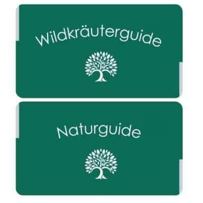 Bildungsurlaub Natur 2025 - Zertifikatlehrgänge Wildkräuter, Pilze