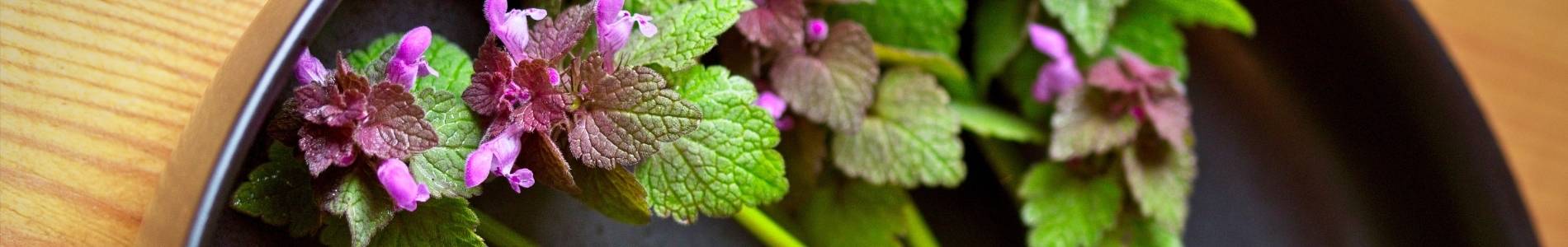 Kochkurs in meiner N&auml;he