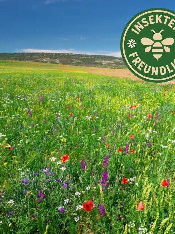 Heimische Bienenweide