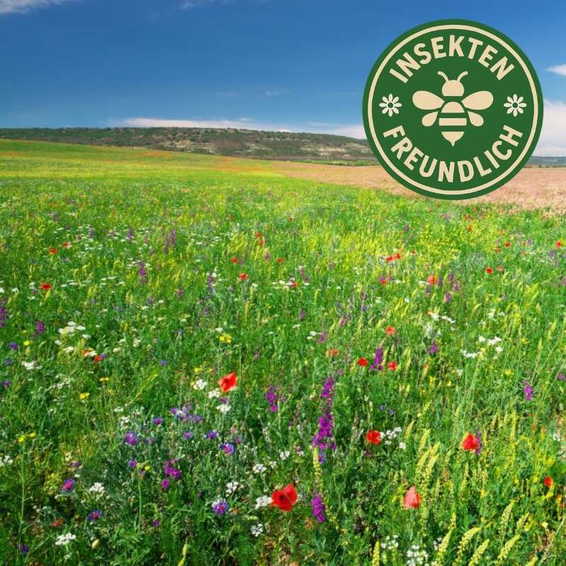 Heimische Bienenweide
