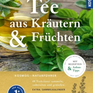 tee aus kräutern und früchten
