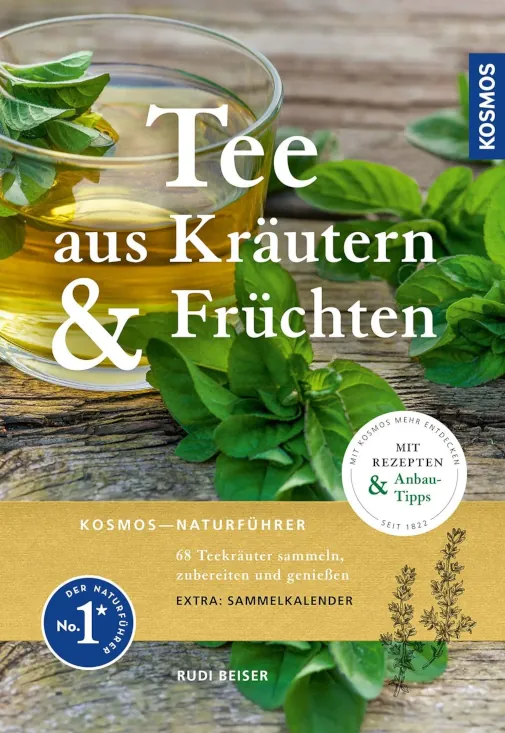 tee aus kräutern und früchten