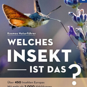 Welches Insekt ist das? Insektenführer