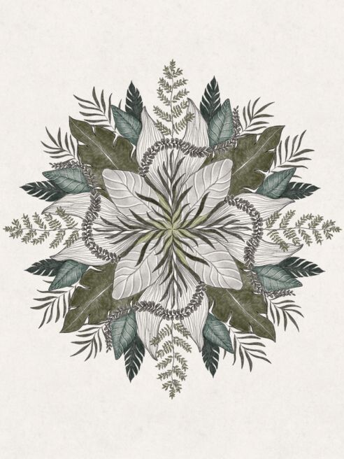 Postkarte Wildkräuter Mandala