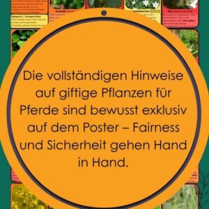 Giftige Pflanzen für Pferde