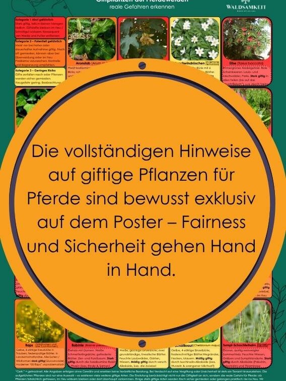 Giftige Pflanzen für Pferde