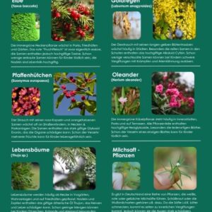 Poster Giftpflanzen und Kinder