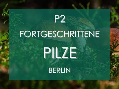 Pilzseminar