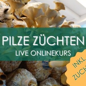 Pilze züchten Anleitung
