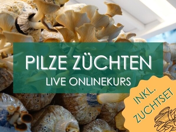 Pilze züchten Anleitung