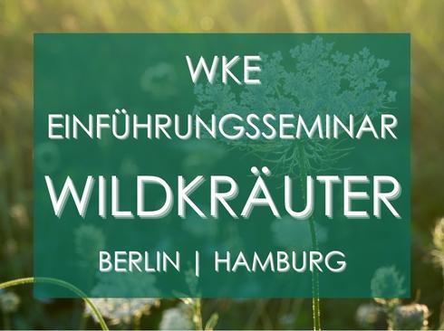 Kräuterkunde Kurs