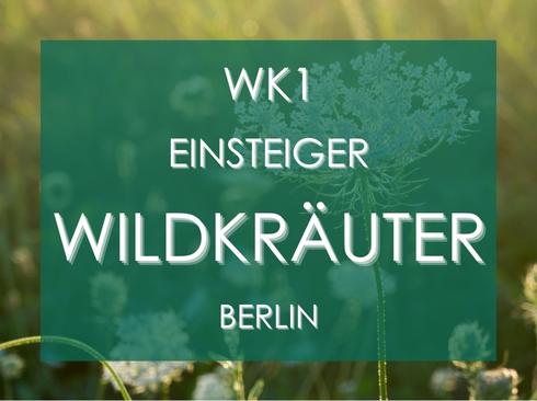 Wildkräuterseminar