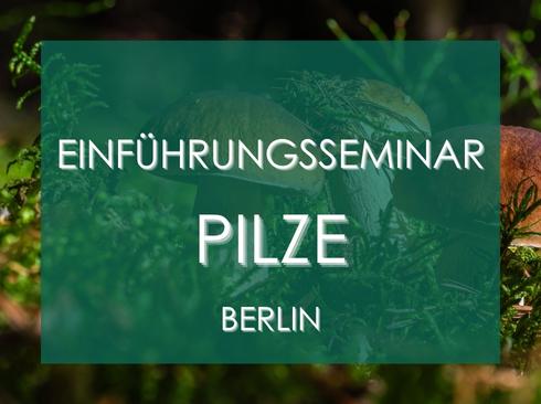Pilze sammeln Kurs