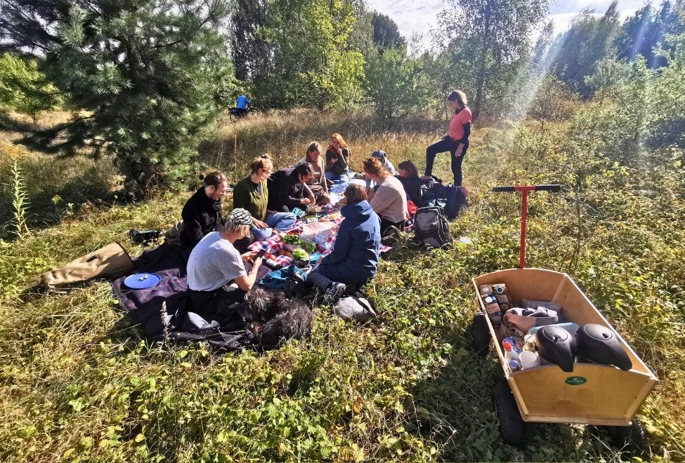 Teamevent Hamburg w&auml;hrend Picknick mit Wildkr&auml;utern