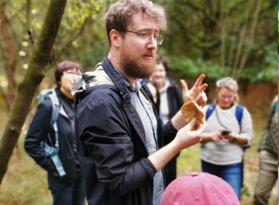 Pilzf&uuml;hrung als Teamevent im Hamburger Sachsenwald