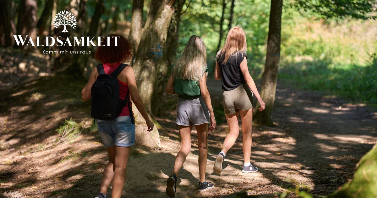 Teamevent Ideen Outdoor Wanderung mit Gruppe