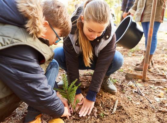 Zwei Kinder pflanzen einen Baum bei einem gef&ouml;rderten Naturbildungsangebot