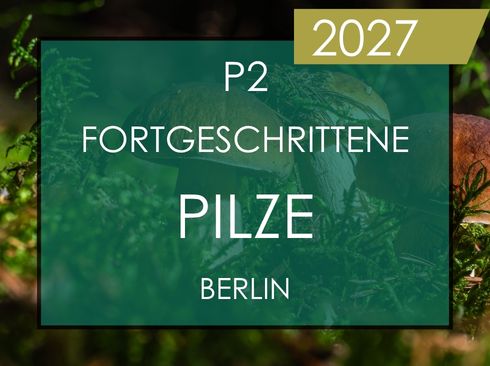 Pilzseminar
