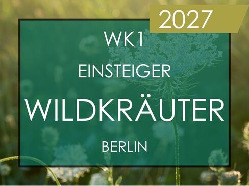 Wildkräuterseminar